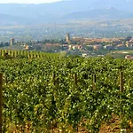 Agriturismo Wine Casale Chiara Κατάλυμα σε φάρμα *