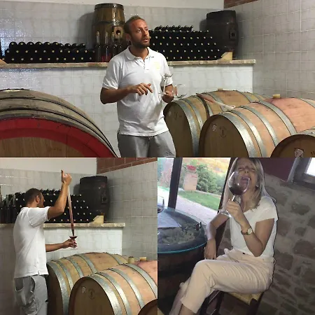 Agriturismo Wine Casale Chiara Farm stay Torgiano