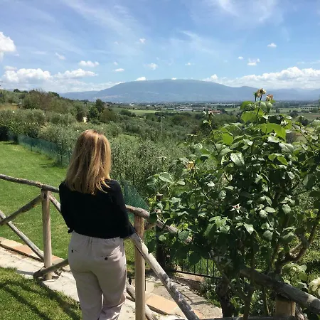 Agriturismo Wine Casale Chiara Feriegård *